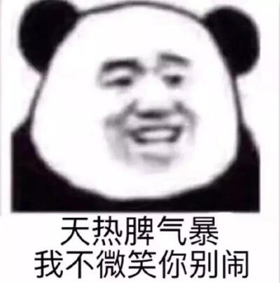 表情包 小熊猫