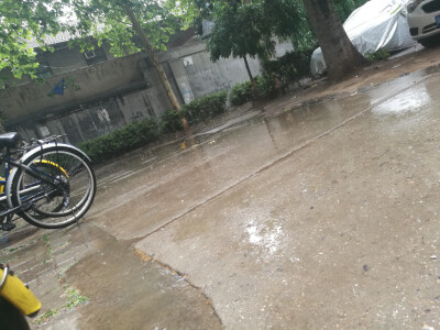 一切景语皆情语