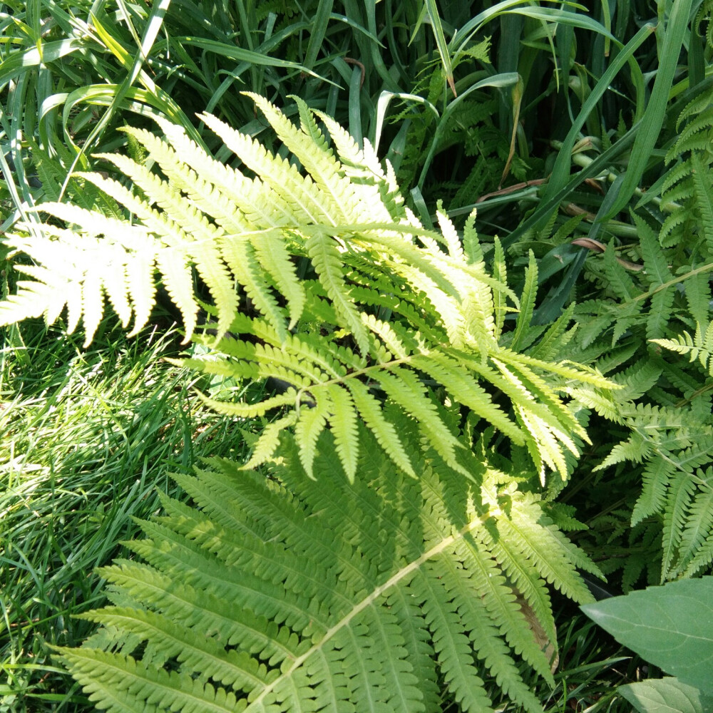 博物馆旁边的花圃