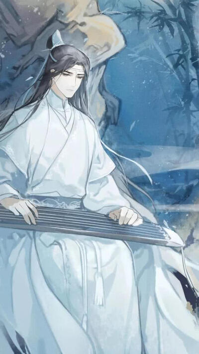 魔道祖师，蓝忘机