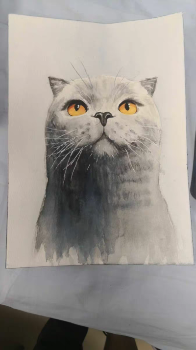 宠物 猫 画 彩铅