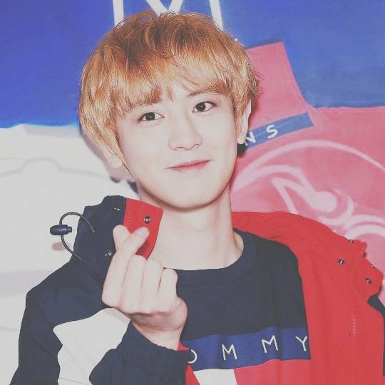 朴灿烈 pcy chanyeol 金发 可爱顺毛