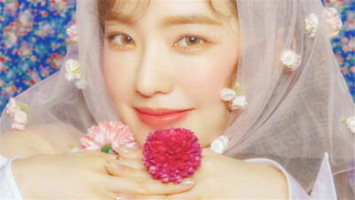 裴珠泫~橙光背景~几宝ぴ