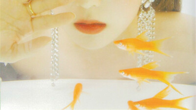 裴珠泫~橙光背景~几宝ぴ