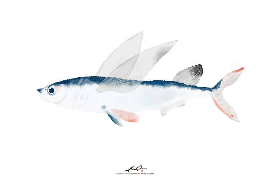 《真·摸鱼》|插画|插画习作|狐狸狐狸鱼 - 