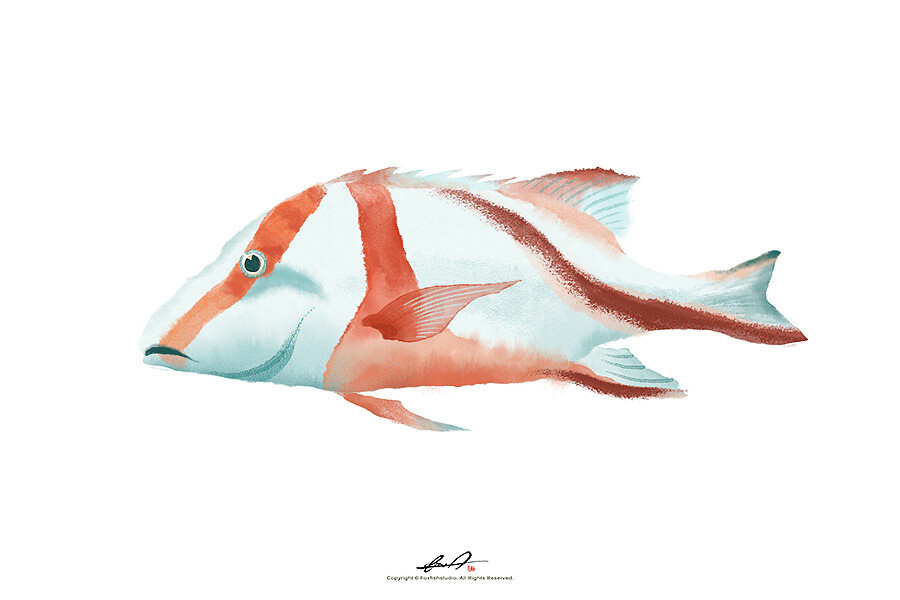 《真·摸鱼》|插画|插画习作|狐狸狐狸鱼 - 