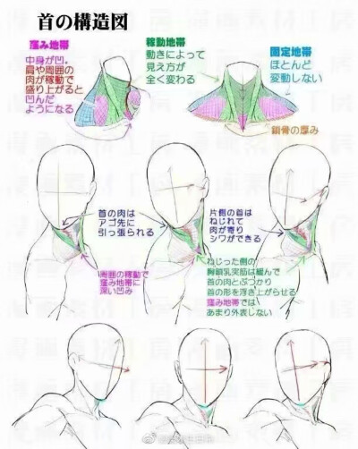 关于颈肩