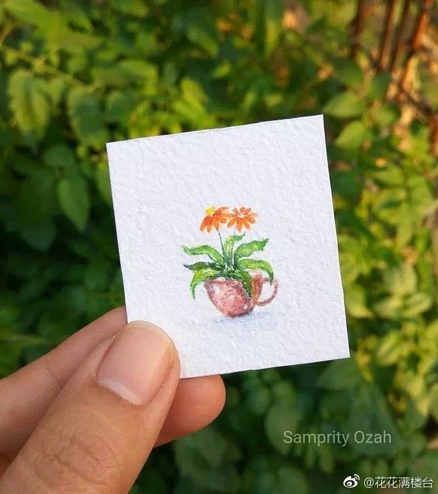 水彩迷你小画 花卉