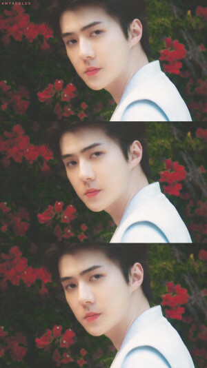 What A Life
Sehun & Chanyeol
图源微博