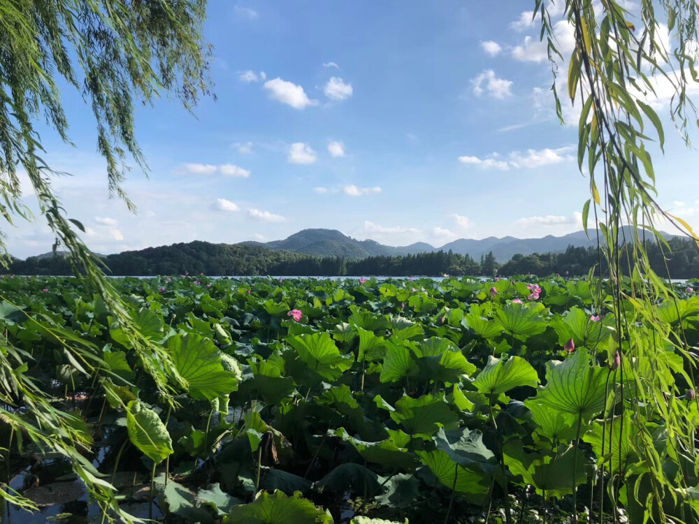 杭州雷峰塔