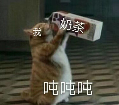 表情包