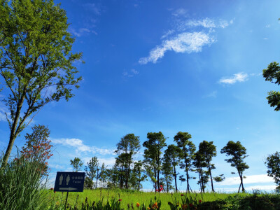 我想在7月的日子里，你永远在哪里陪着我。