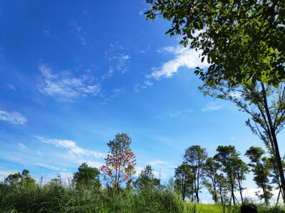 我想在7月的日子里，你永远在哪里陪着我。