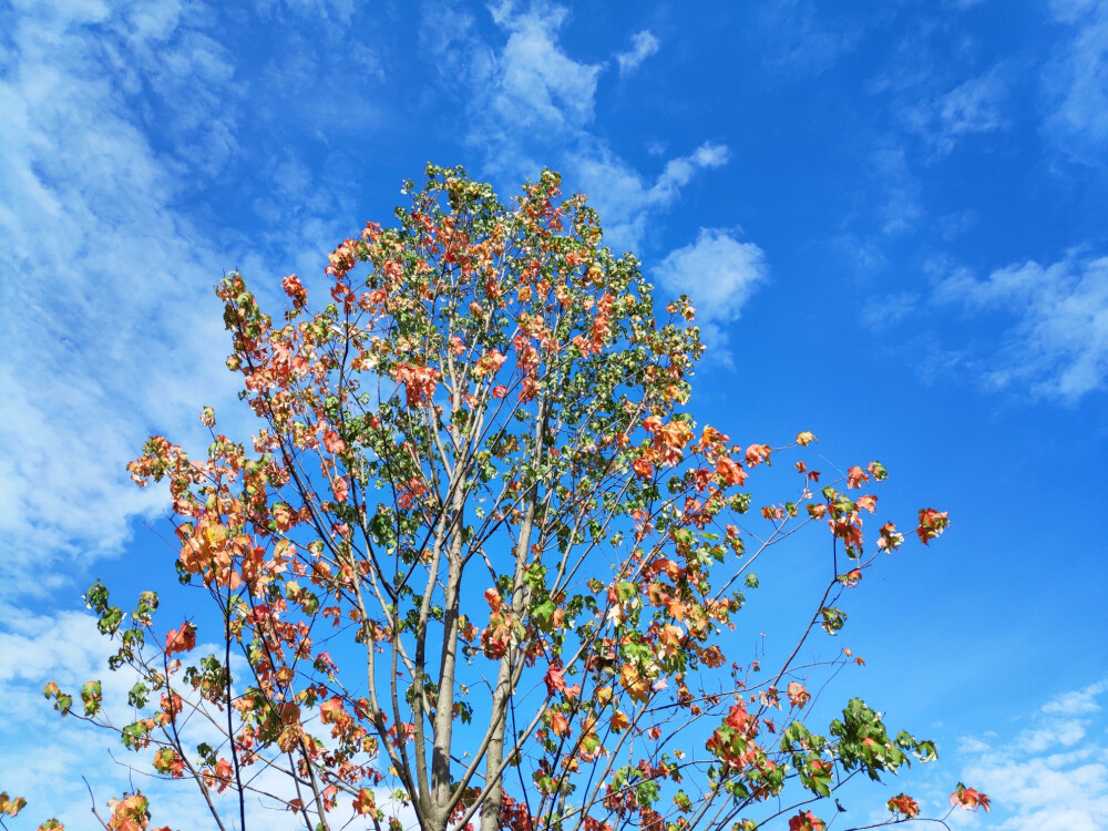 我想在7月的日子里，你永远在哪里陪着我。