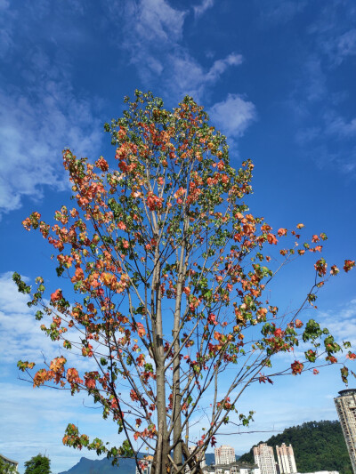 我想在7月的日子里，你永远在哪里陪着我。
