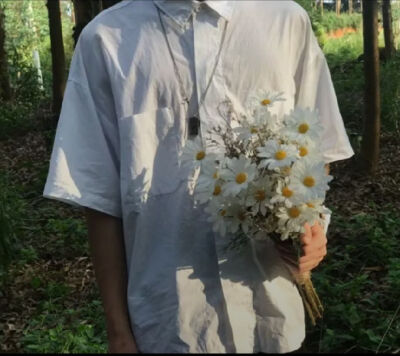 捧花 菊 男头