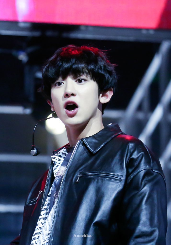 朴灿烈 Chanyeol