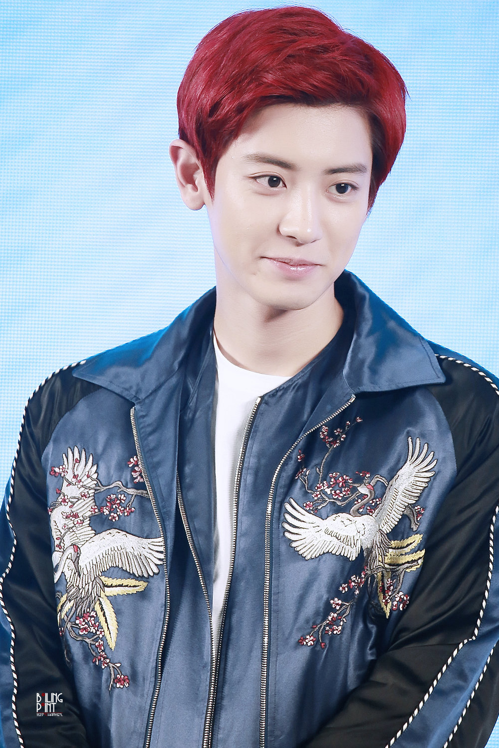 朴灿烈chanyeol红发