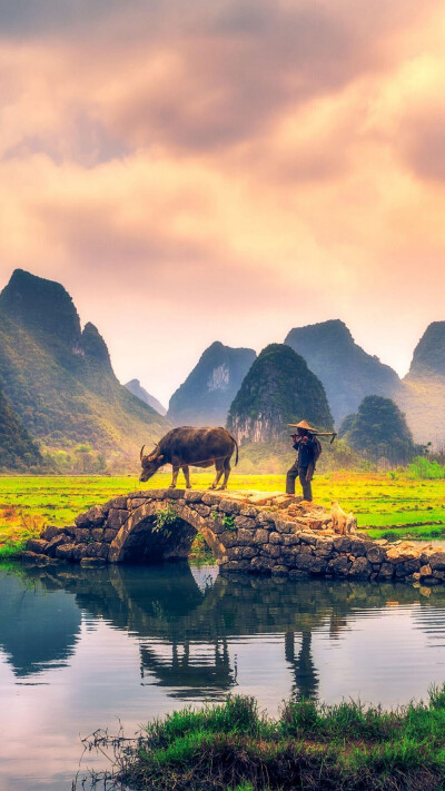 什么时候，你能与一个老人待一个下午，饶有兴趣地听完他精彩或不精彩的人生故事，那说明你已经成熟。——川端康成