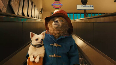 帕丁顿熊 Paddington 