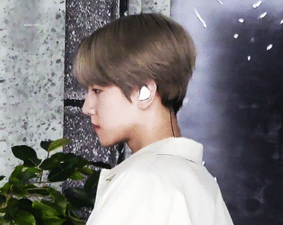 190718 人歌Face Cam 伯贤