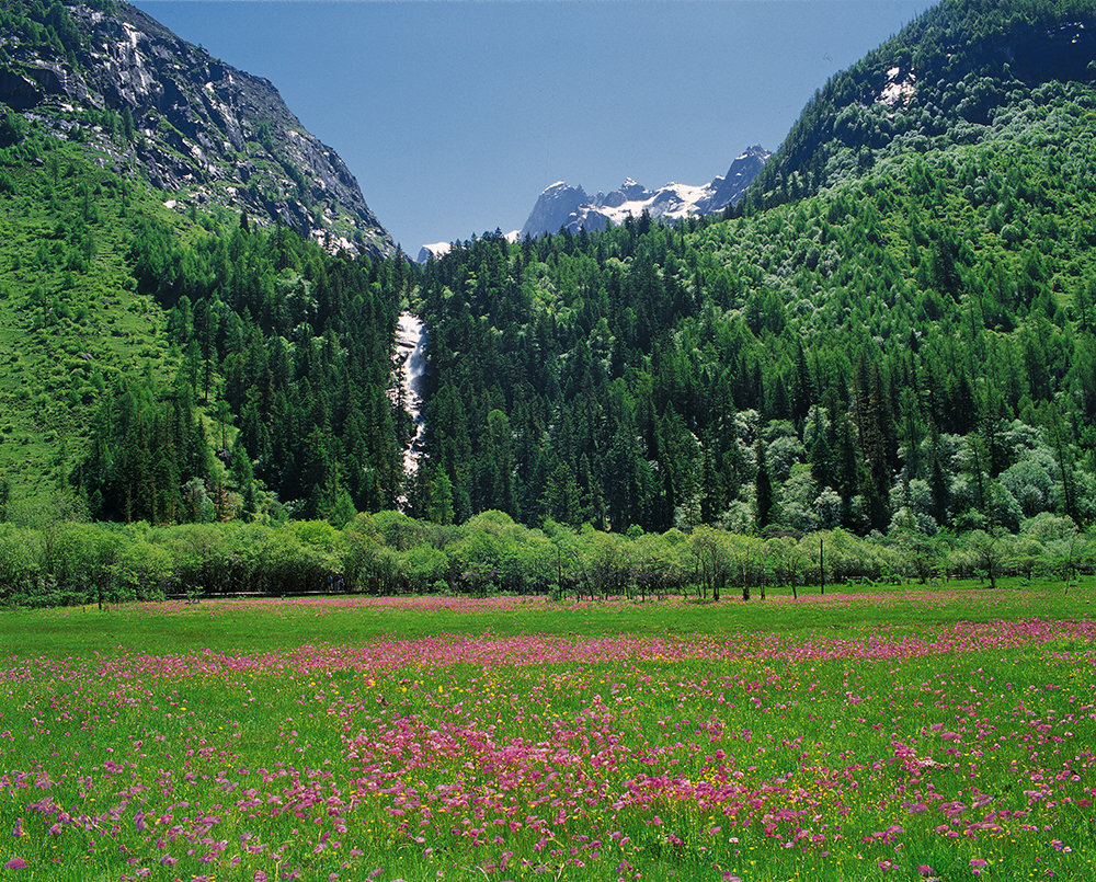 #安逸走四川，最美在川西# 在有火城之称的武汉推介会现场，青城山-都江堰景区、汶川（卧龙）景区、四姑娘山景区正式签订了“四川精品旅游走廊线路联盟“的协议，同时，新成立的联盟也和武汉当地旅行商达成了战略合作。四川和武汉两地在旅游资源上具有很强的差异性和互补性，多年来两地在旅游事业上一直有交流合作，此次四川精品旅游走廊线路推介会在武汉成功举办，增强了两地的人文艺术交流，为两地旅游行业的进一步发展提供了更多契机。