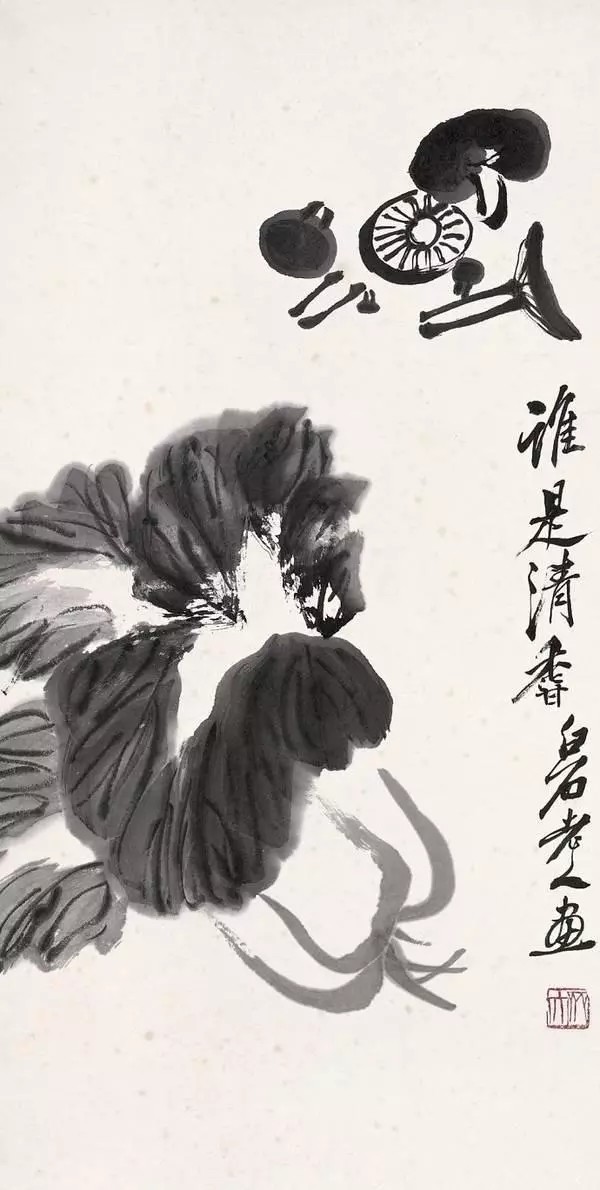 齐白石 《白菜》
他对白菜的情结，可以从下面这个事例中窥见一斑。一位客人到齐家拜访白石先生，带来用白菜包着的一块卤肉。家人打开后，把白菜叶随手扔掉了。白石老人见状，赶紧捡回来，洗吧洗吧，吩咐家人切了，撒上点盐巴，就着喝粥。