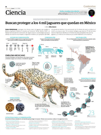 数据可视化设计参考一组 | infografia-pedrojimenez.blogspot.com