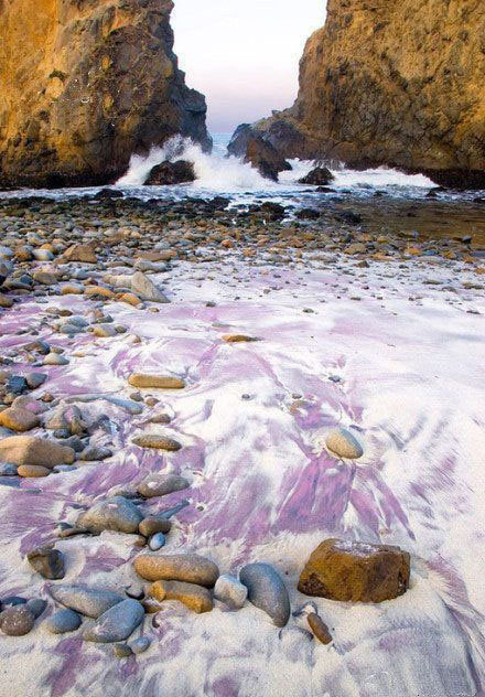 想去加州的紫色沙滩Pfeiffer Beach