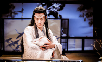 人不如兔系列
