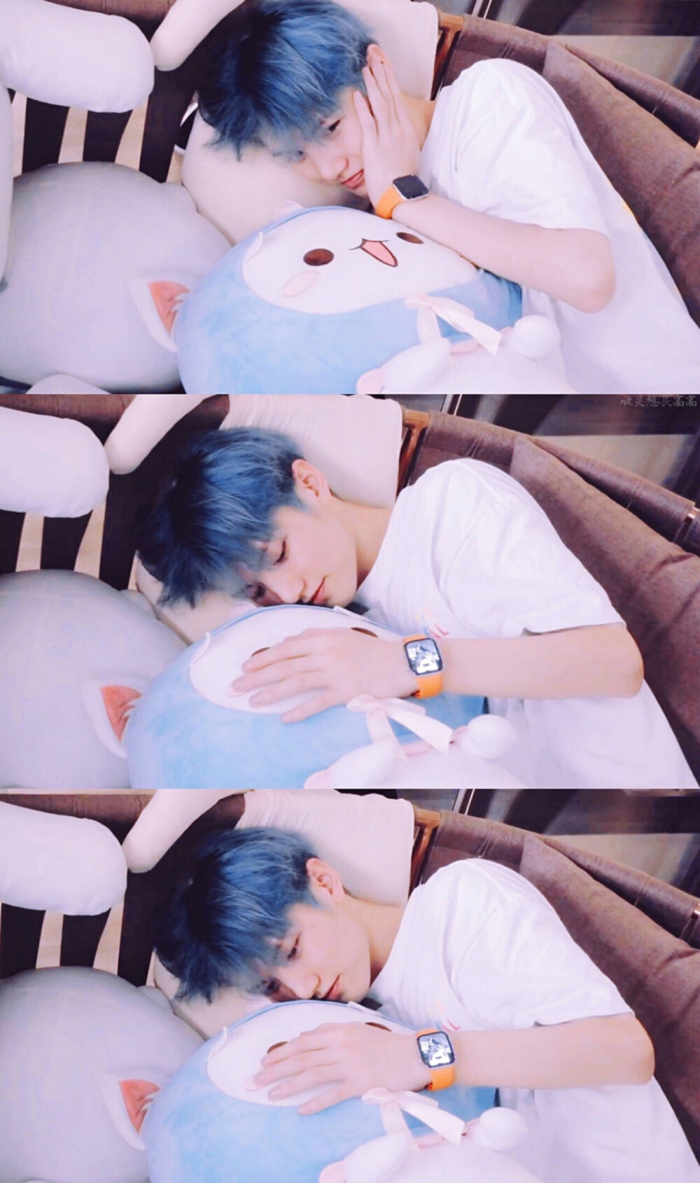 灵超鹅壁纸背景