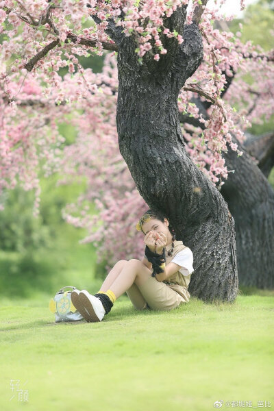 舞法天女之璀璨甜蜜 