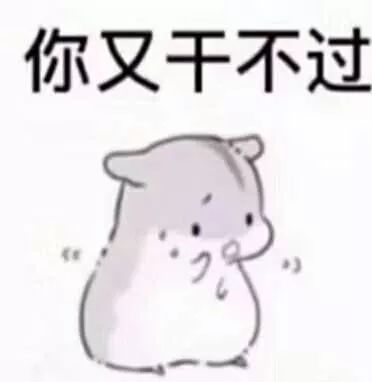 仓鼠表情报
