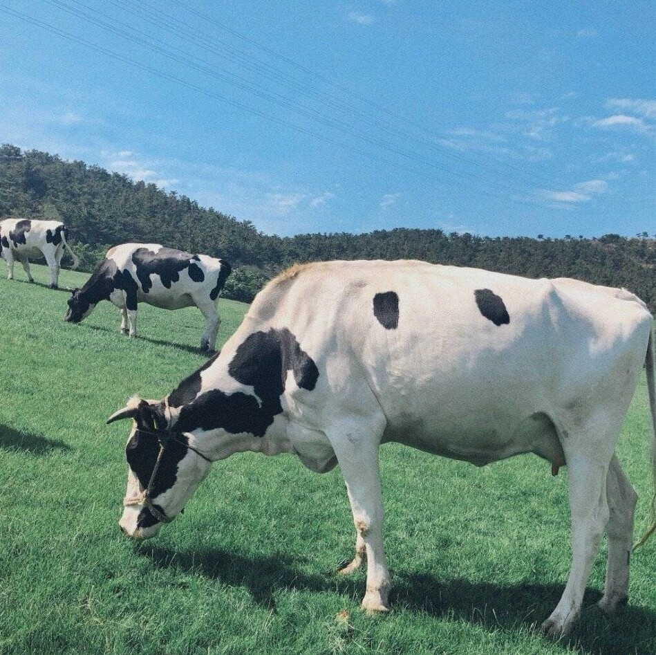 QQ名片背景微信朋友圈背景不定时更新