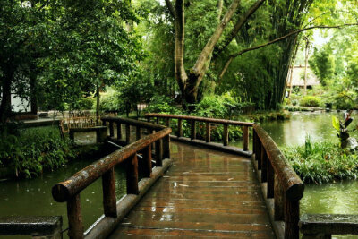 前林夏雨歇，为我生凉风。