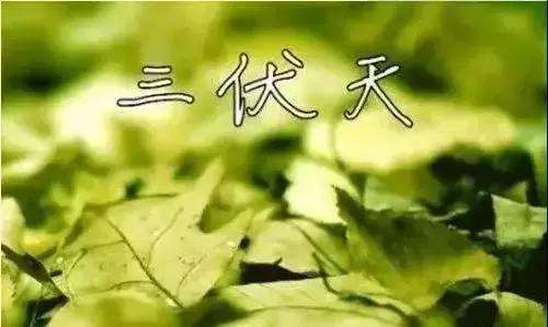 九夏苦炎烈，入伏气候恶。#今日入伏# 今年还是40天加长版三伏天，各位诗友在炎炎夏日，要注意防暑哦！