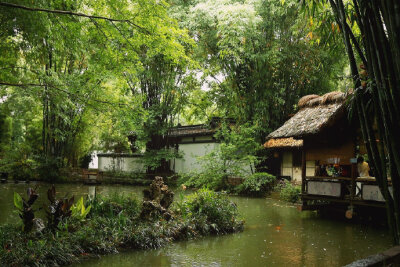 前林夏雨歇，为我生凉风。