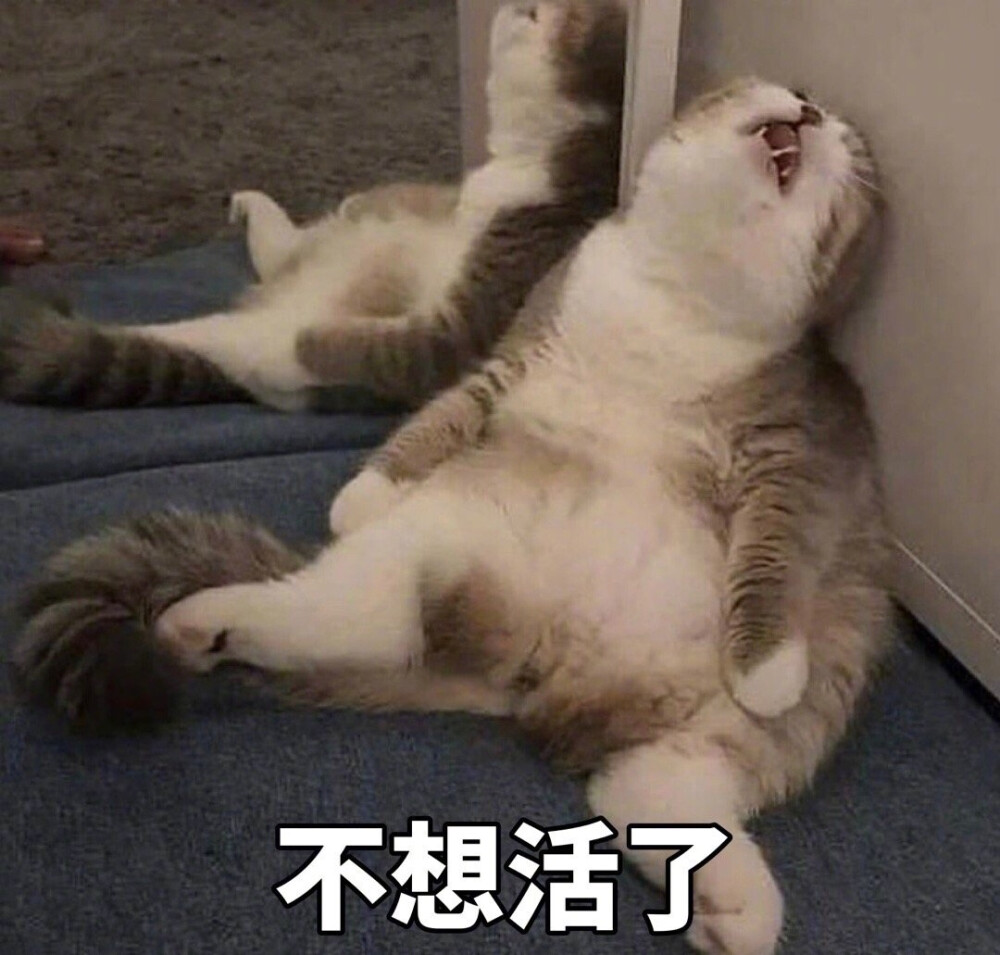 颓废表情包 (转)