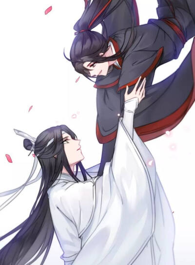 魔道祖师。忘羡