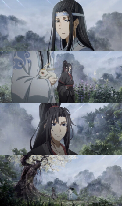 魔道祖师。忘羡