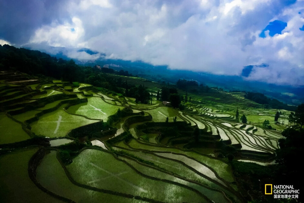 北纬21°～26°，东经99°～104°，
大山如潮、巨河奔涌、
森林苍茫、云海翻腾。
哀牢山和无量山两大山系，
耸峙亘古；
红河、把边江、澜沧江,
日夜喧腾。
向西北，连接横断山脉，
直上喜马拉雅；
向东南，直奔南海。