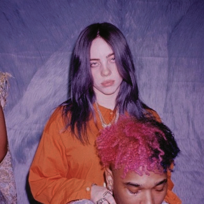 【Tumblr】比莉·艾利什（Billie Eilish），2001年12月18日出生于美国加利福尼亚州洛杉矶，美国女歌手、词曲作者。