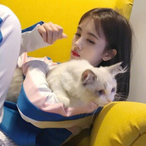 三个人的友情，快乐且不拥挤