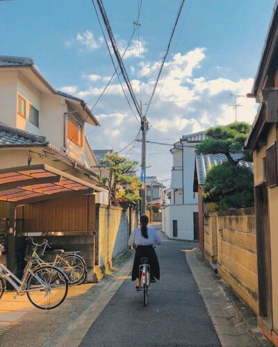 滤镜下的日本住宅