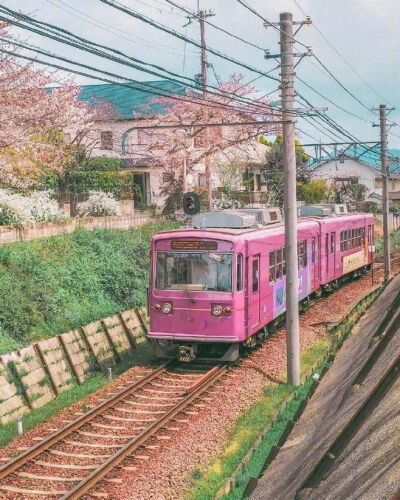 滤镜下的日本住宅