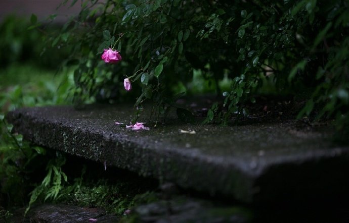 春水碧于天，画船听雨眠。绿树绕村含细雨，寒潮背郭卷平沙。