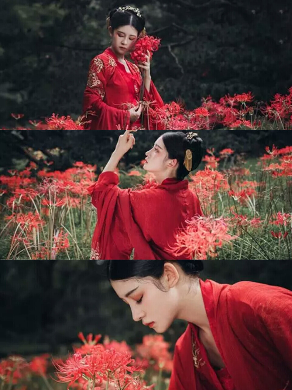 自制古风三格图 - 堆糖,美图壁纸兴趣社区