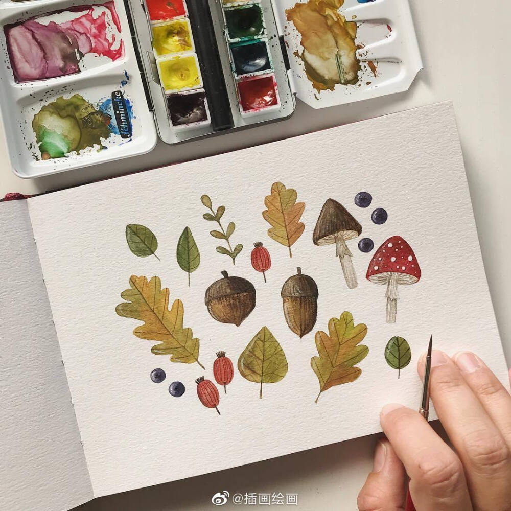 小清新水彩绿植 插画师：Petra Heider