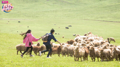 向佐郭碧婷，我家小两口