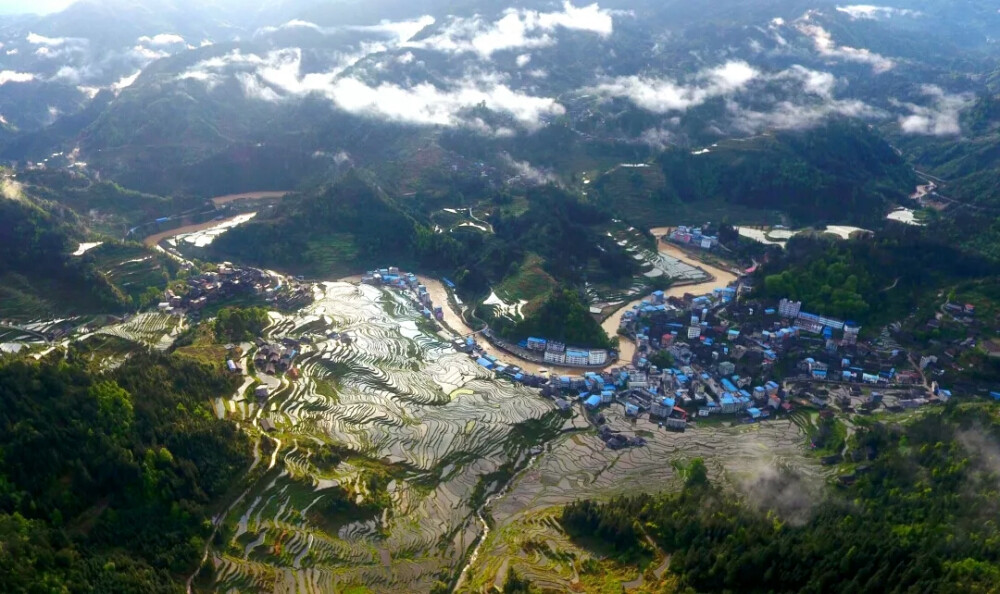 广西融水苗族自治县杆洞乡杆洞村的梯田